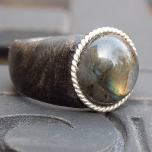 Labradorite Buckeye Burl Wood Ring with Sterling Silver Bezel - Size 6 1/2