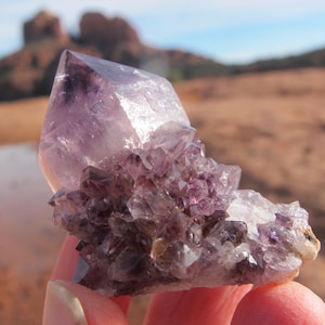 Può includere: Un gruppo di cristalli di ametista, che mostra una gamma di tonalità viola. I cristalli sono tenuti in una mano, con un paesaggio naturale sullo sfondo. L'ametista presenta un cristallo grande e appuntito e formazioni più piccole raggruppate.