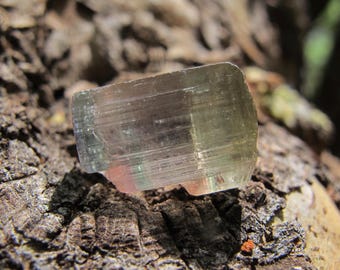 Galaxy Port Starseed Super Gemmy Green Pink Yellow Himalaya Tourmaline Crystal Sedona Vortex Reiki Charged