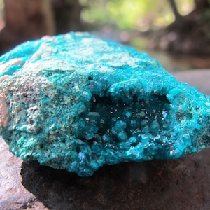 May include: A close-up of a vibrant turquoise mineral specimen. The stone has a rough, textured surface with a crystalline structure visible in a central cavity. The mineral is set against a blurred natural background.