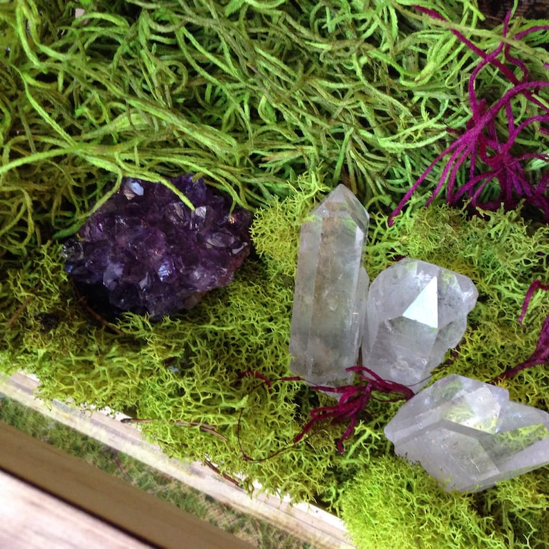Terrarium Box Crystal Garden Wood and Glass Terrarium Air Planter Box Fairy Garden Terrarium Kit Raw Girlfriend Gift for Her Him Unisex image 3