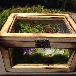 Terrarium Box Crystal Garden Wood and Glass Terrarium Air Planter Box Fairy Garden Terrarium Kit Raw Girlfriend Gift for Her Him Unisex image 5