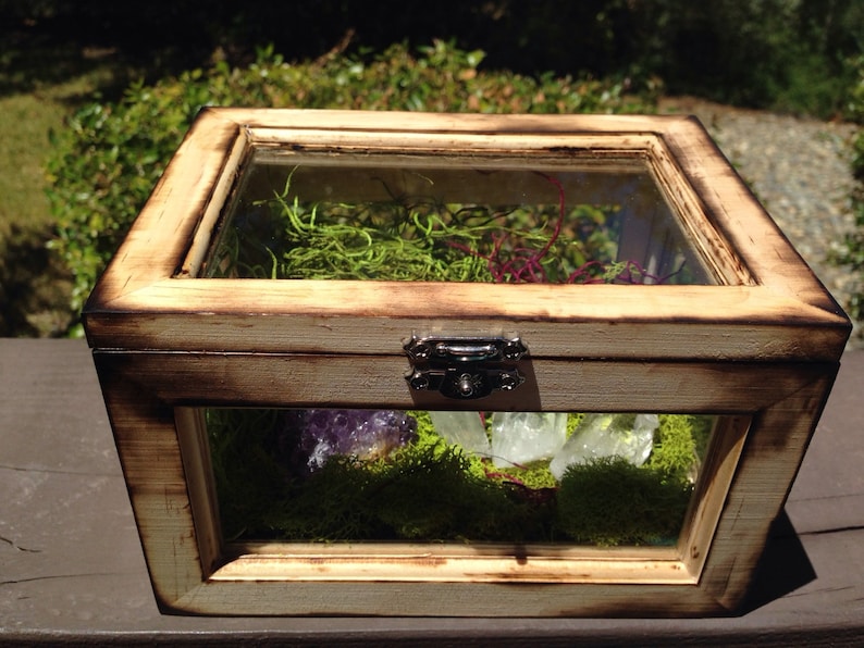 Terrarium Box Crystal Garden Wood and Glass Terrarium Air Planter Box Fairy Garden Terrarium Kit Raw Girlfriend Gift for Her Him Unisex image 5