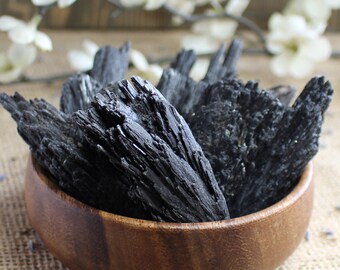 Raw Black Kyanite Fan Crystal - Rough Stone for Grounding and Root Chakra