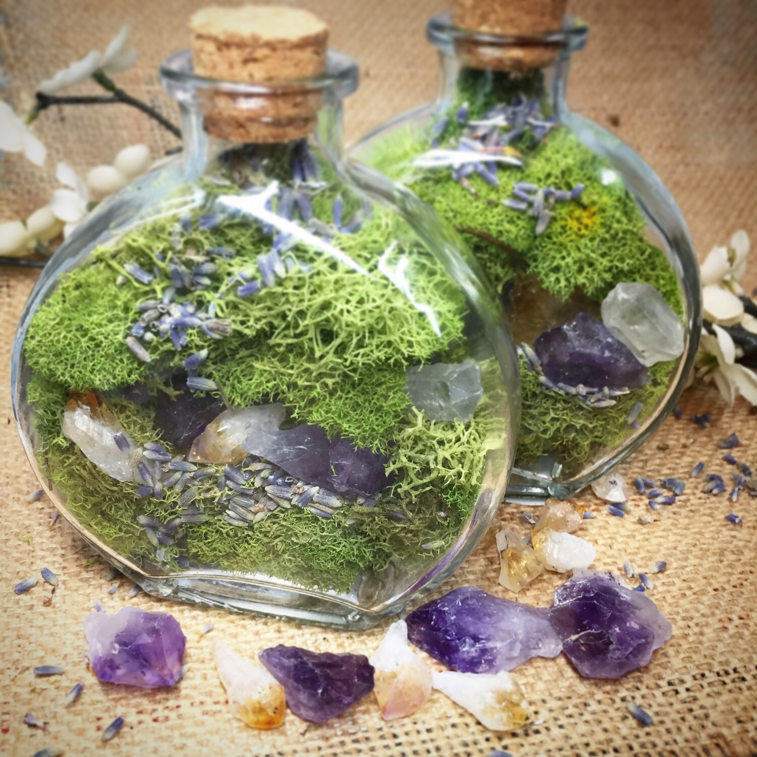 Terrarium Crystal Garden Fairy Terrarium Kit Jar Amethyst Wood Etsy