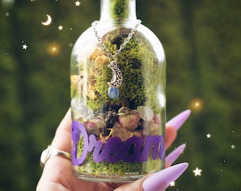 Dream Jar - Terrarium Jar with Healing Crystals and Herbs for Calming - Crystal Moon Jar