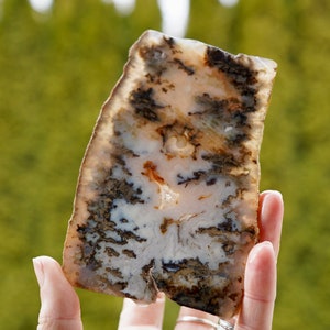 Graveyard Point Plume Agate Slice: Oregon Lapidary Stone