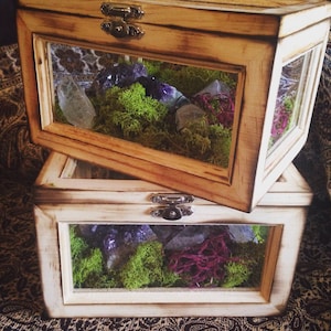 Terrarium Box Crystal Garden Wood and Glass Terrarium Air Planter Box Fairy Garden Terrarium Kit Raw Girlfriend Gift for Her Him Unisex image 1