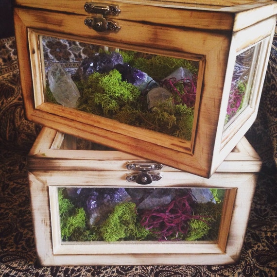 Terrarium Box Crystal Garden Air Planter Fairy Image 0