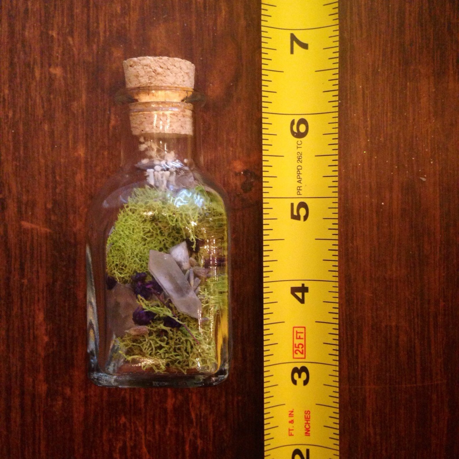 Terrarium Jar Fairy Garden Gift for Her Raw Crystal Healing Etsy
