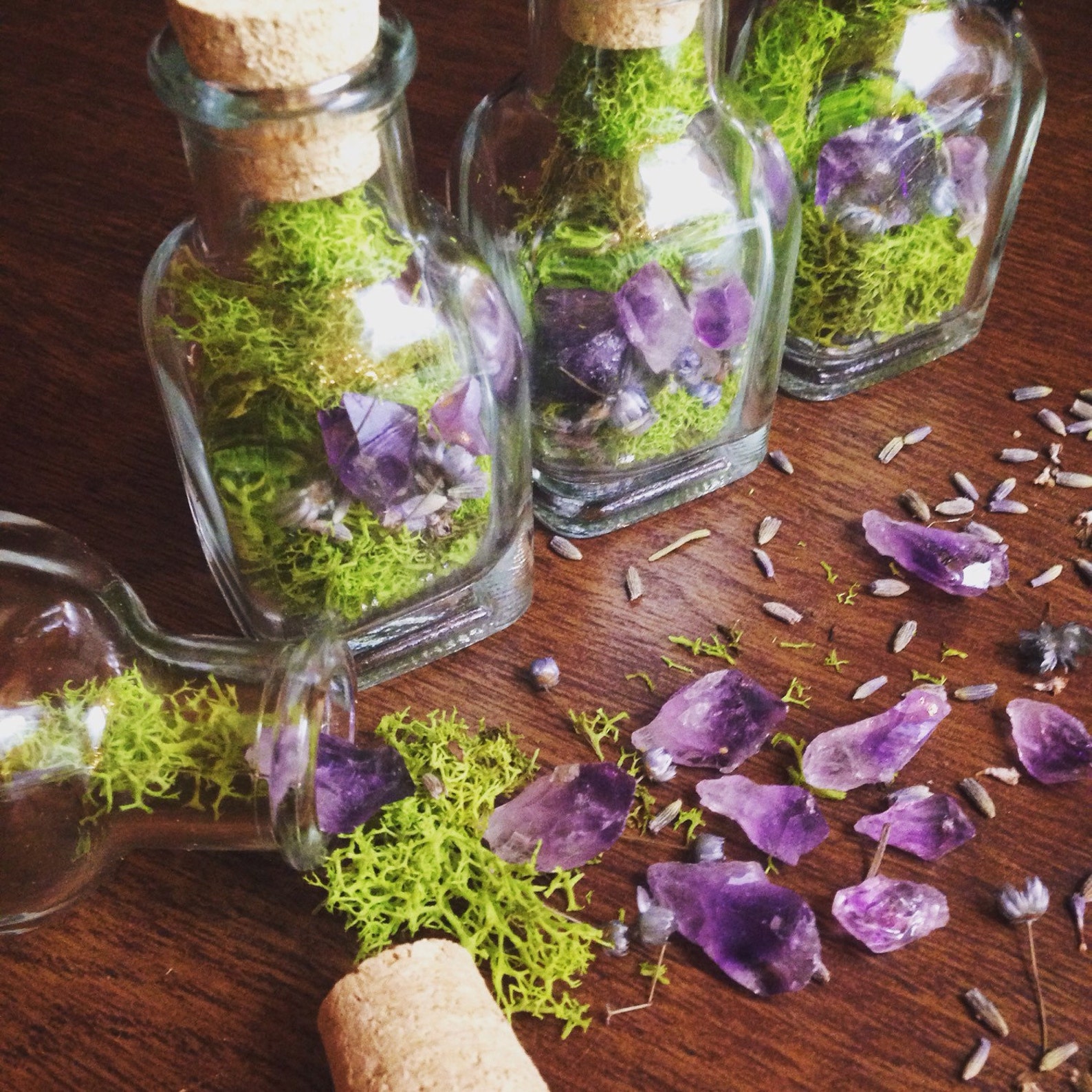 Terrarium Jar Fairy Garden Gift for Her Raw Crystal Healing Etsy