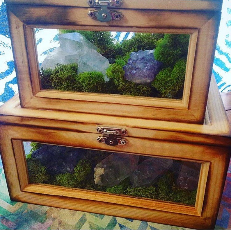 Terrarium Box Crystal Garden Wood and Glass Terrarium Air Planter Box Fairy Garden Terrarium Kit Raw Girlfriend Gift for Her Him Unisex image 4