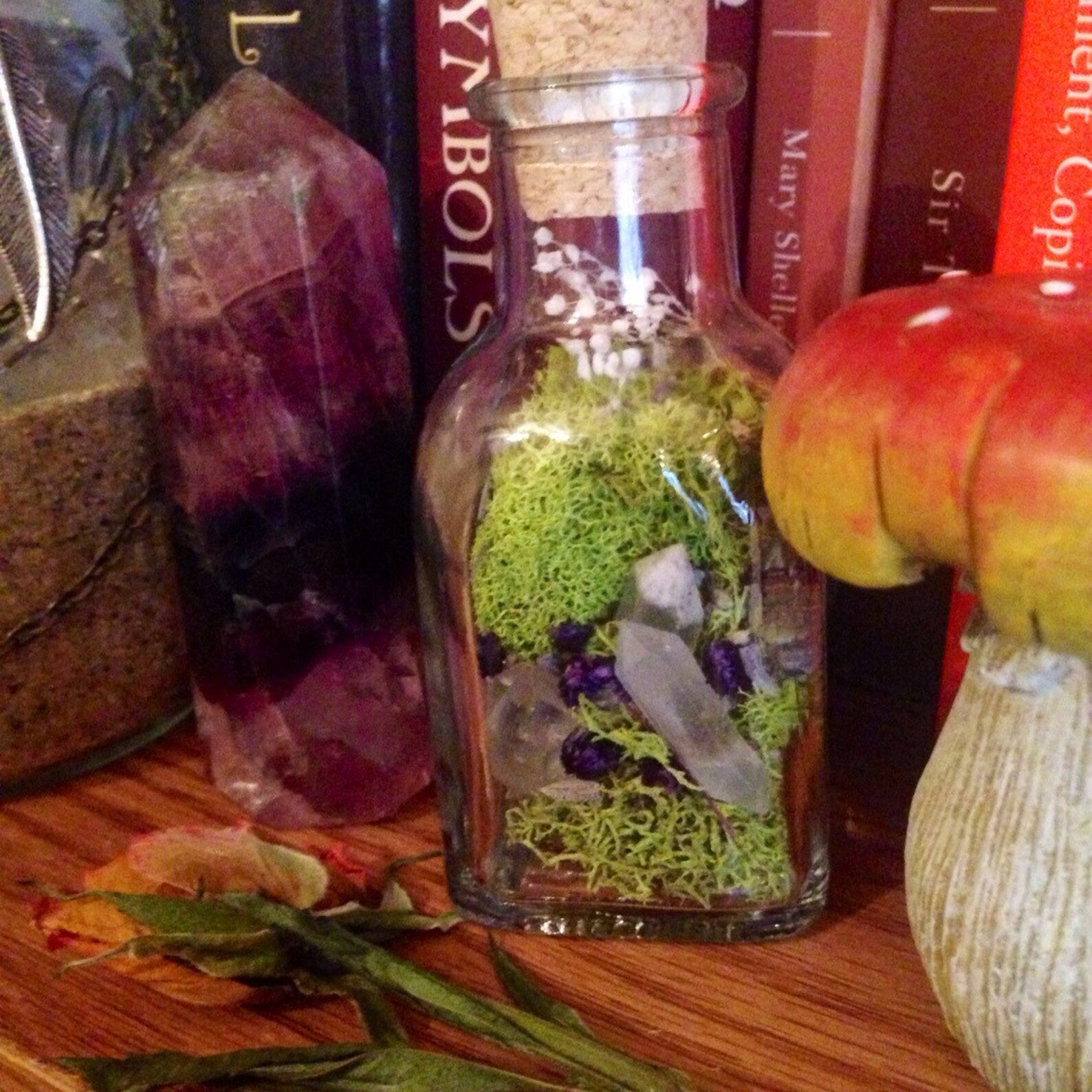 Terrarium Jar Fairy Garden Gift for Her Raw Crystal Healing Etsy