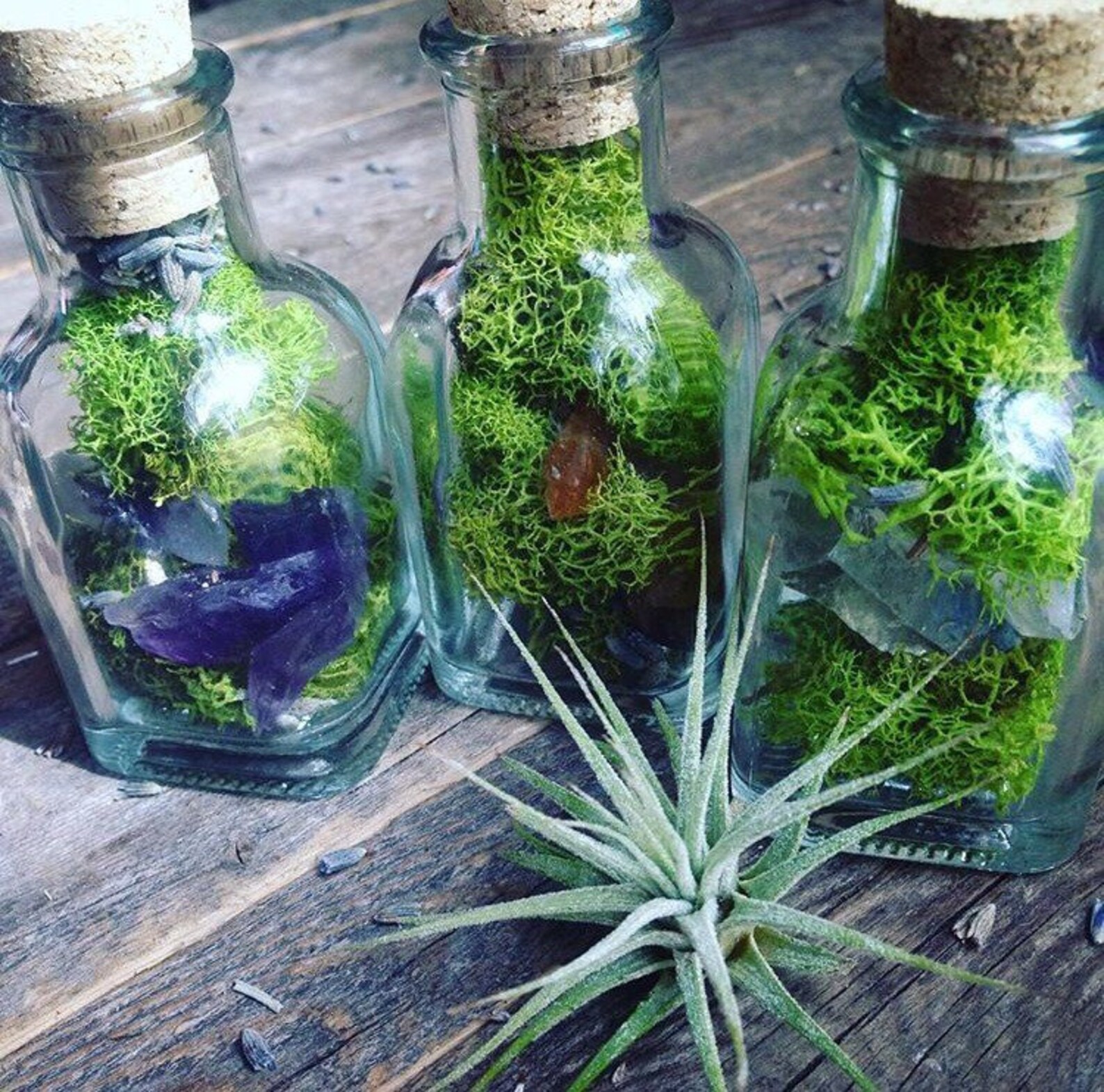 Terrarium Jar Fairy Garden Gift for Her Raw Crystal Healing Etsy