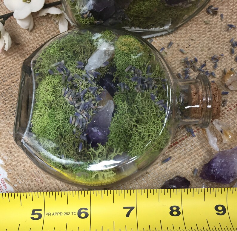 Terrarium Crystal Garden Fairy Terrarium Kit Jar Amethyst Wood Etsy