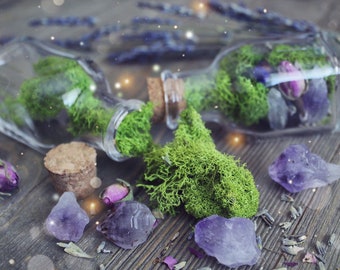 Terrarium Jar Fairy Garden Gift For Her Raw Crystal Healing Crystals and Stones Bohemian Decor Girlfriend Terrarium Amethyst Gift for Him