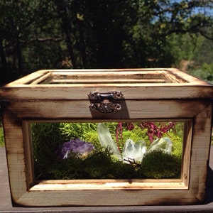 Terrarium Box Crystal Garden Wood and Glass Terrarium Air Planter Box Fairy Garden Terrarium Kit Raw Girlfriend Gift for Her Him Unisex image 2