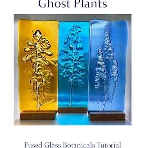 Ghost Plants - フューズドガラスの植物アート入門。