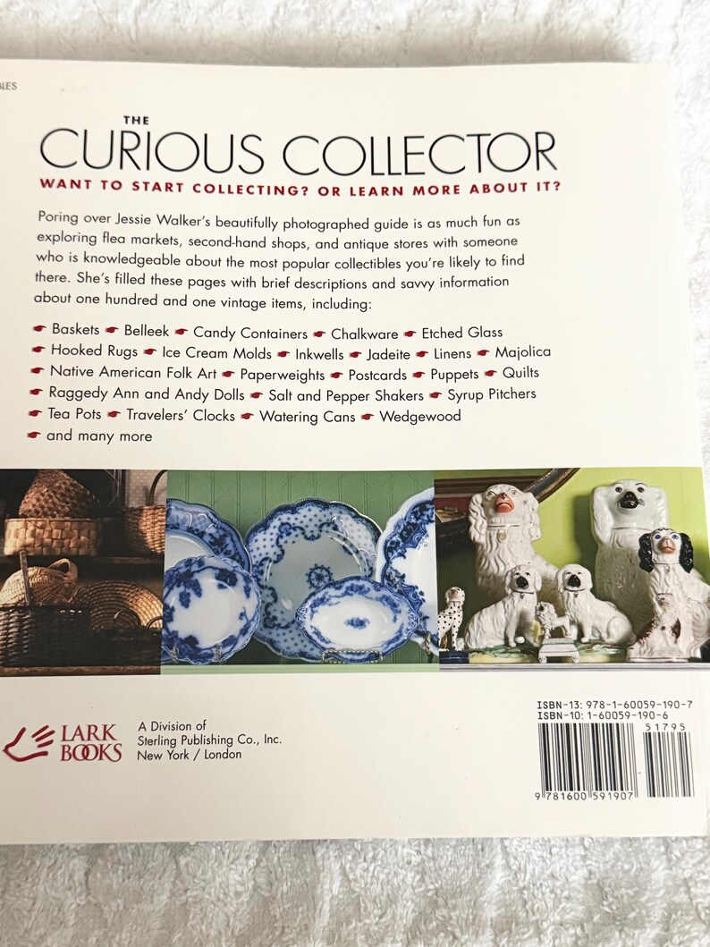 Curious Collector Book-101 Favorite Collectibles by Jessie Walker - Etsy