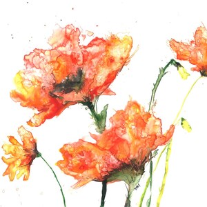 Big Poppies DIGITAL