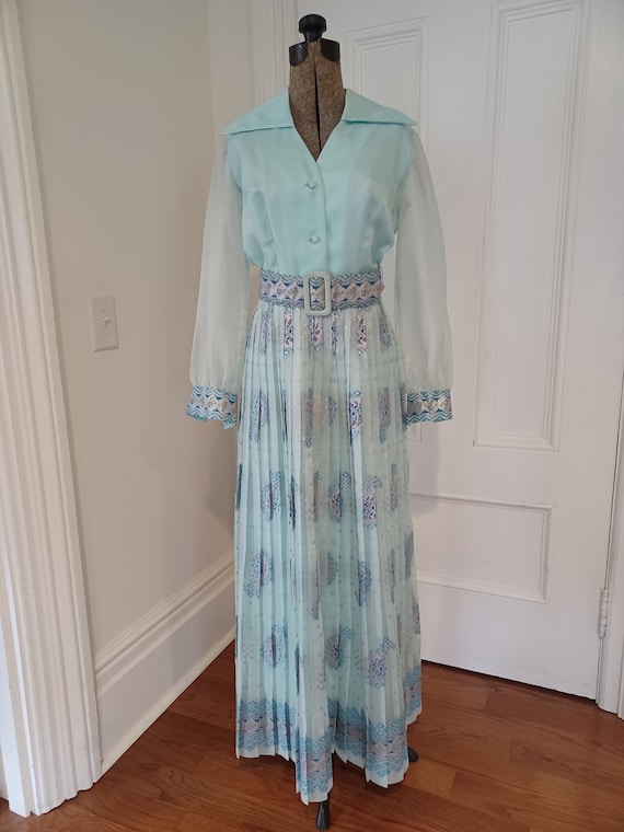 1970s Pleated Maxi Dress - "Alfred Shaheen" - image 2