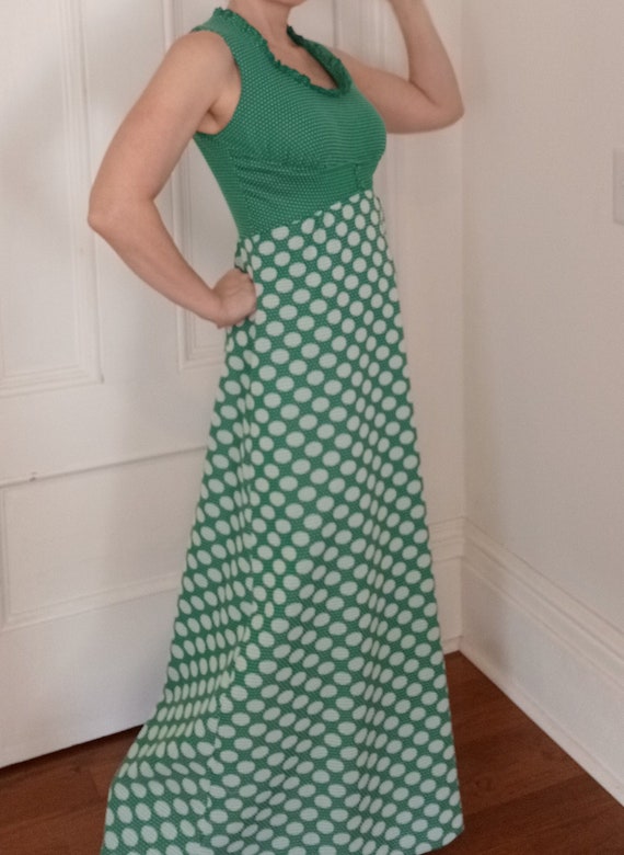 1970s Maxi Dress with Empire Waist in Swiss Dot P… - image 3