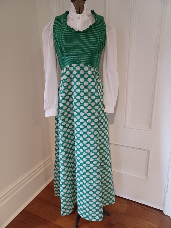 1970s Maxi Dress with Empire Waist in Swiss Dot P… - image 2