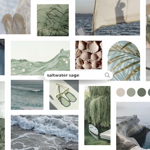 Op de afbeelding: Een collage met afbeeldingen van de oceaan, schelpen en palmbomen, in saliegroen en neutrale tinten. De tekst "saltwater sage" staat in een zoekbalk. De afbeeldingen roepen een gevoel van rust en kustleven op.