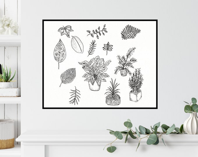 Plant Study Print ++ Plant Print, Plant Sketch, Botanical Artwork, Home Decor, Urban Jungle Print, Plant Lover Print, Plant Illustration