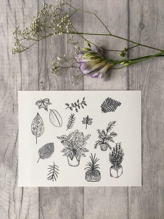 Plant Study Print ++ Plant Print, Plant Sketch, Botanical Artwork, Home Decor, Urban Jungle Print, Plant Lover Print, Plant Illustration