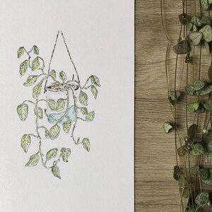 May include: A watercolor illustration of a hanging plant with green leaves. The plant is in a white pot with a blue and green pattern. The illustration is on a white background.