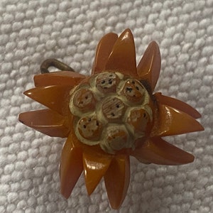 Celluloid BAKELITE Brooch Edelweiss Caramel Honey Color Vintage Estate Jewelry