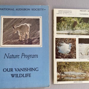 May include: A blue booklet with the text "National Audubon Society" and "Our Vanishing Wildlife" on the cover. The booklet is next to a pamphlet with the text "Nelson Doubleday Vanishing Wildlife" and images of various animals, including a snowy egret, a weasel, and an American crocodile.