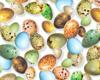 Hummingbird eggs fabric by Rosalind Solomon