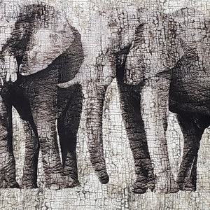 Elephants by Deborah Edwards & Melanie Samra