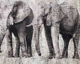 Elephants by Deborah Edwards & Melanie Samra