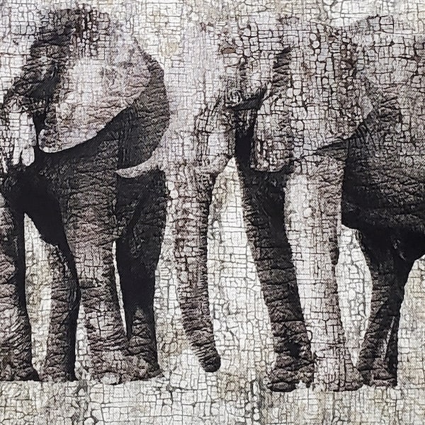 Elephants by Deborah Edwards & Melanie Samra