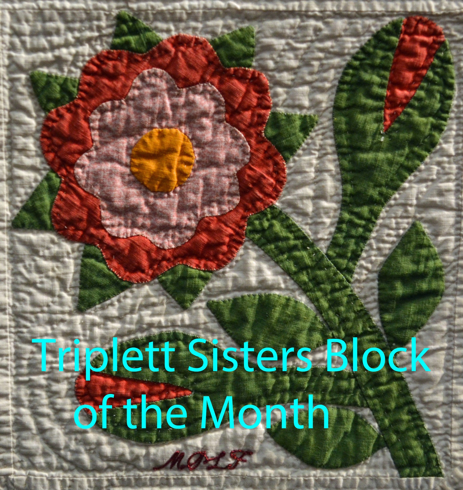 Variety of Rose Precut Fusible Kits Etsy