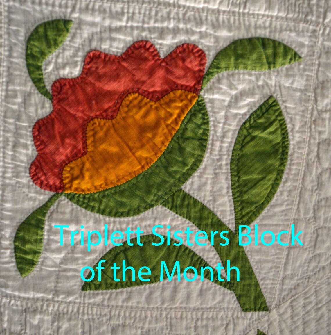 Variety of Rose Precut Fusible Kits Etsy