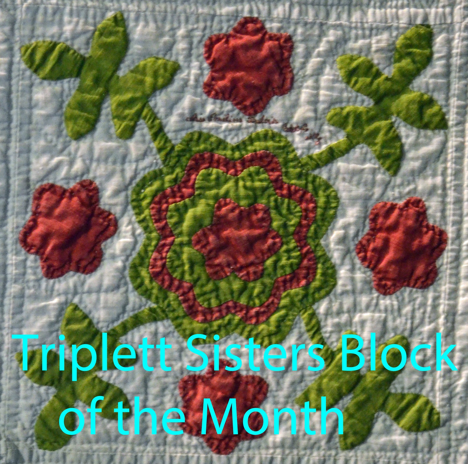 Variety of Rose Precut Fusible Kits Etsy