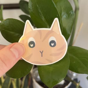 Orange Cat Sticker. Paper Vinyl laminate. Kawaii Pet Sticker for laptop, water bottle, journal, planner, scrapbooking or crafting