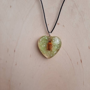 May include: Heart-shaped pendant with a preserved insect encased in clear resin. The resin has a light green hue with a textured appearance. The pendant hangs from a black cord necklace.