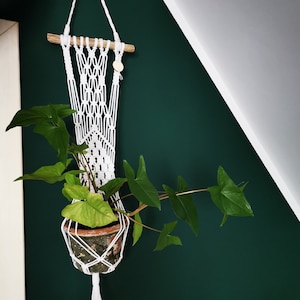 Op de afbeelding: Een witte macramé plantenhanger met een gepotte plant die eraan hangt. De hanger is bevestigd aan een houten stok en heeft een houten kraal aan de bovenkant. De plant is een groene liaan met grote bladeren. De hanger hangt aan een donkergroene muur.