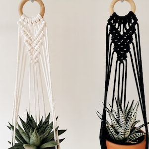 Peut inclure: Deux suspensions macramées pour plantes, l'une blanche et l'autre noire, avec des anneaux en bois en haut. Chaque suspension contient une plante succulente en pot.