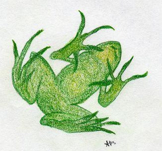 Art Drawing Frog Belly Artwork Etsy