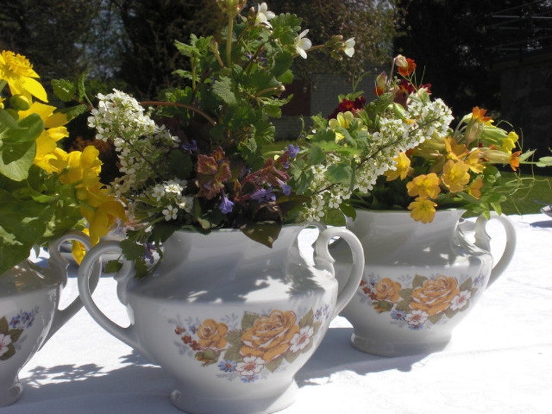 country cottage sugar bowl vintage porcelain china French kitchen style summer tea party table wedding decor Victoria soviet RPF yellow rose