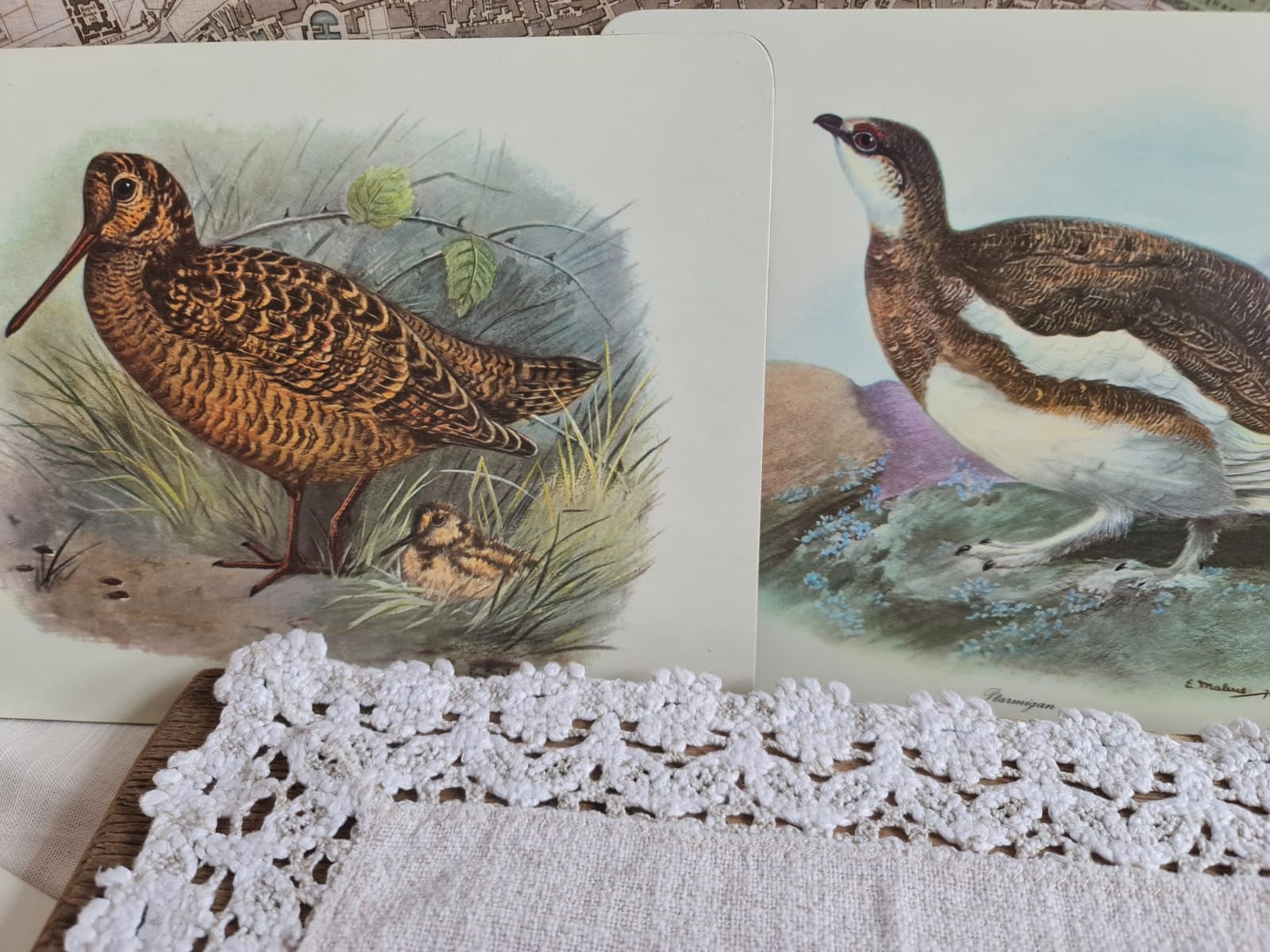 Vintage Place Mats Table Mats Set With Birds Placemats Plate Etsy