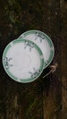 porcelain saucer plates mint green bow tie bone china plates soviet USSR retro style tea party home decor collectible tableware Riga factory 