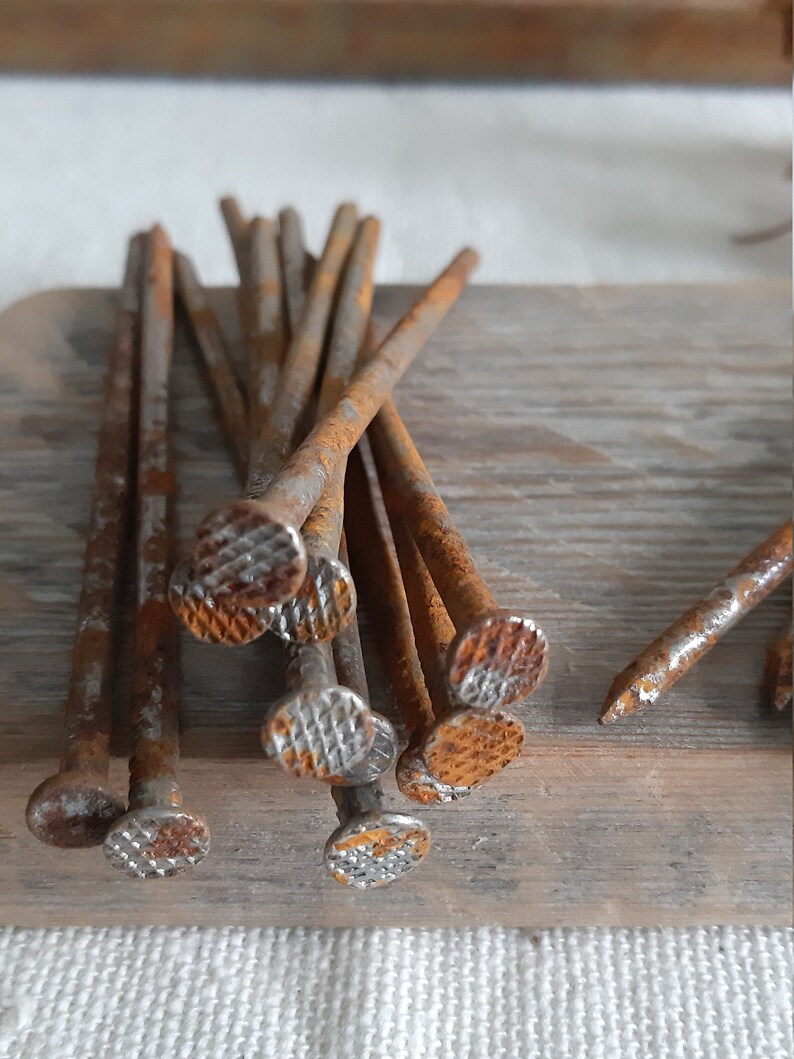 12 Rusted Nails Old Nail Metal Steampunk Art Craft Supplies Etsy