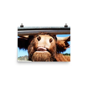 Bull Comedic Poster